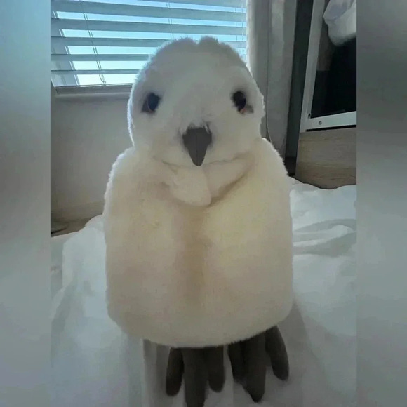 WIZARDING WORLD OF HARRY POTTER  HEDWIG PLUSH BACKPACK GOOD CLEAN CONDITION - Picture 1 of 6